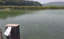 水產(chǎn)養(yǎng)殖水質(zhì)檢測標(biāo)準(zhǔn)，這五個方面讓水質(zhì)恢復(fù)清新