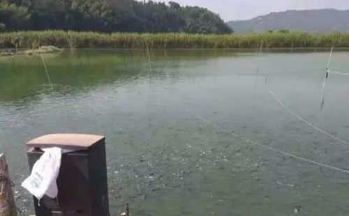 水渾了？不用怕，這五個(gè)方面讓水質(zhì)恢復(fù)清新